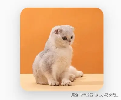效果图