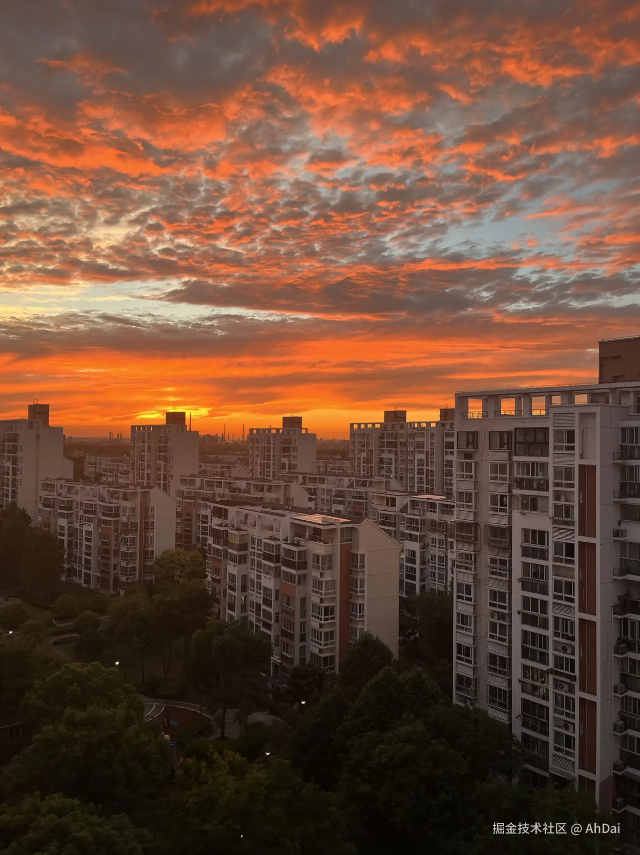 傍晚回家时的夕阳.jpg