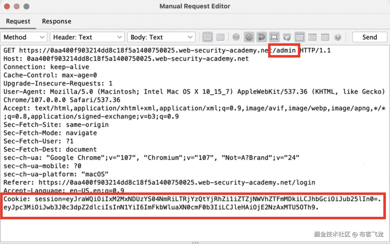 图 10.5 – 会话 cookie