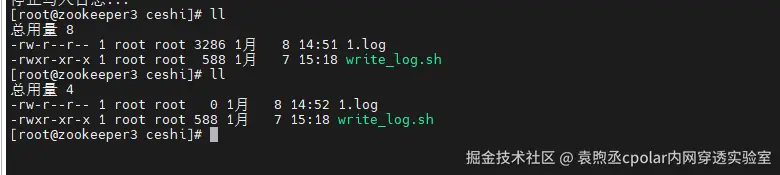 image-20260108145318392