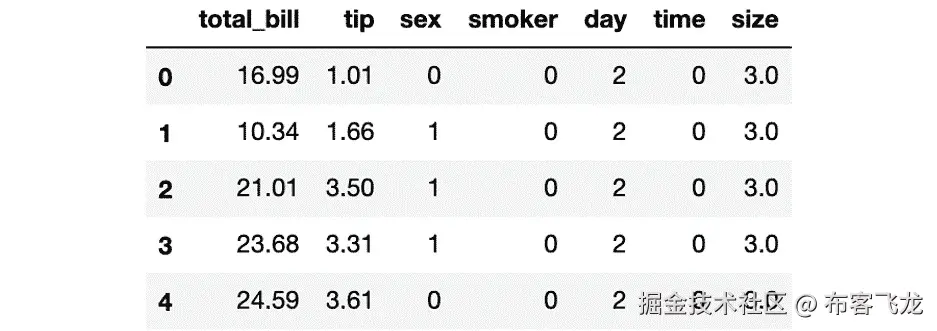 图 1.13：显示 tips 数据集前五个实例的截图    