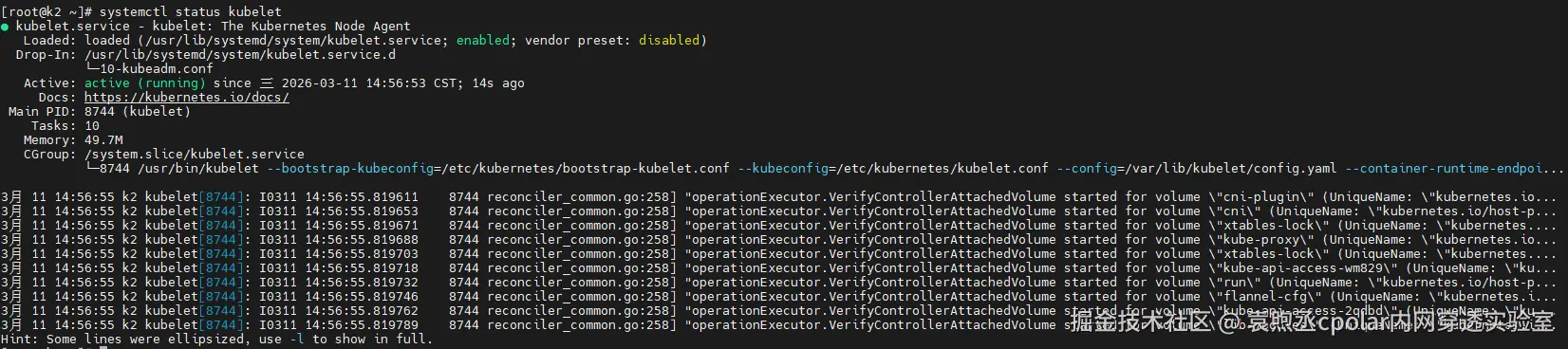image-20260311145842315
