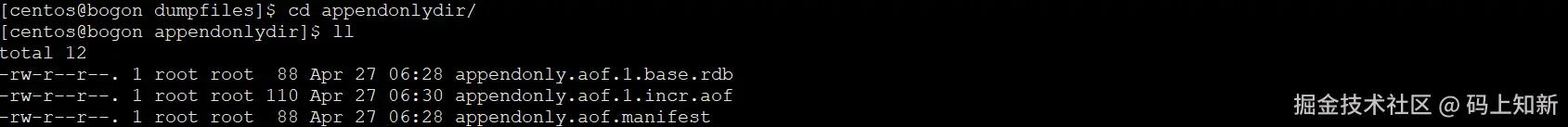 image-20240427213329647