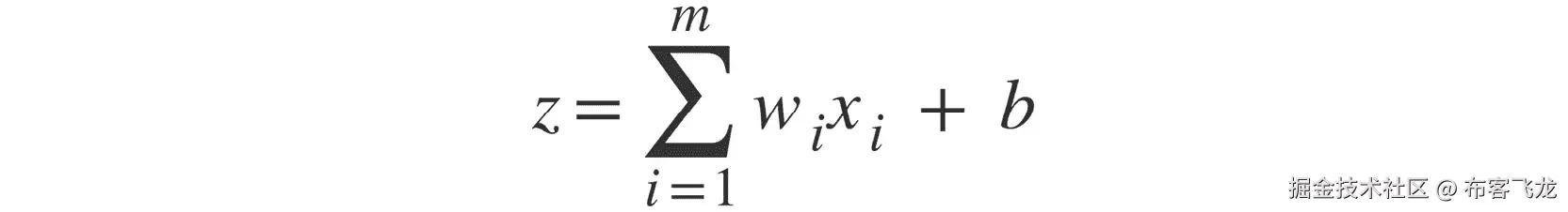 图 2.5：数学形式的净输入函数