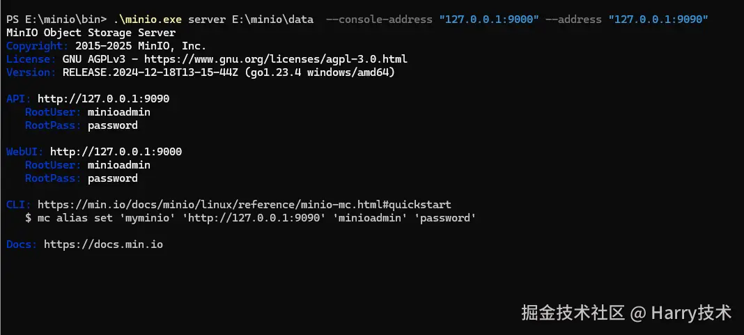 image-20250109194929865