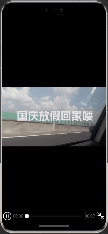video-example.gif