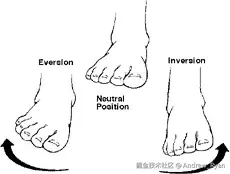 ankle-eversion-and-inversion
