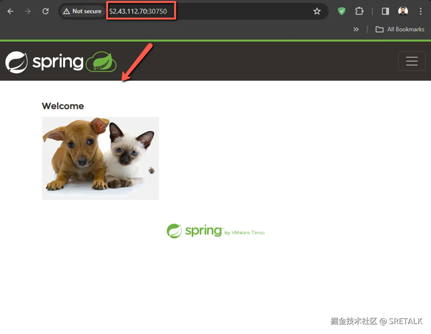 SpringBoot Java Application using JMX Exporter jar
