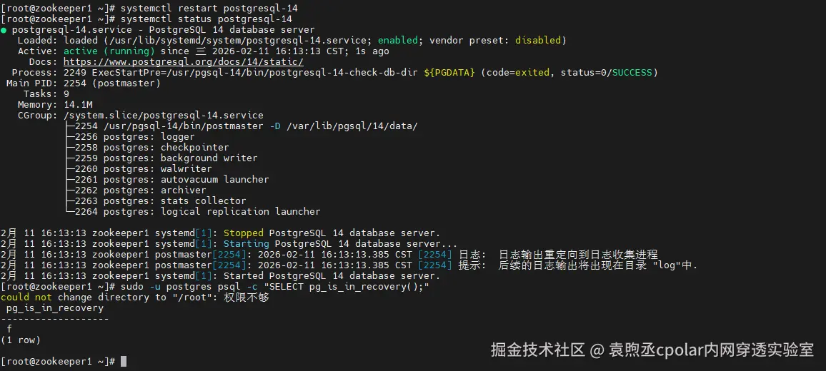 image-20260211161328442