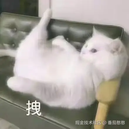 zhuai.jpg