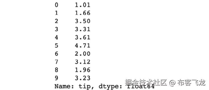 图 1.4：显示目标矩阵前 10 个实例的截图    