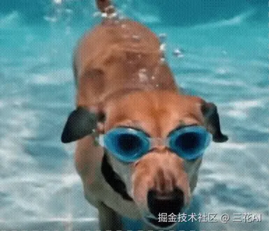 1.gif