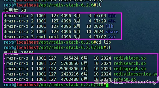 image-20250305193255891