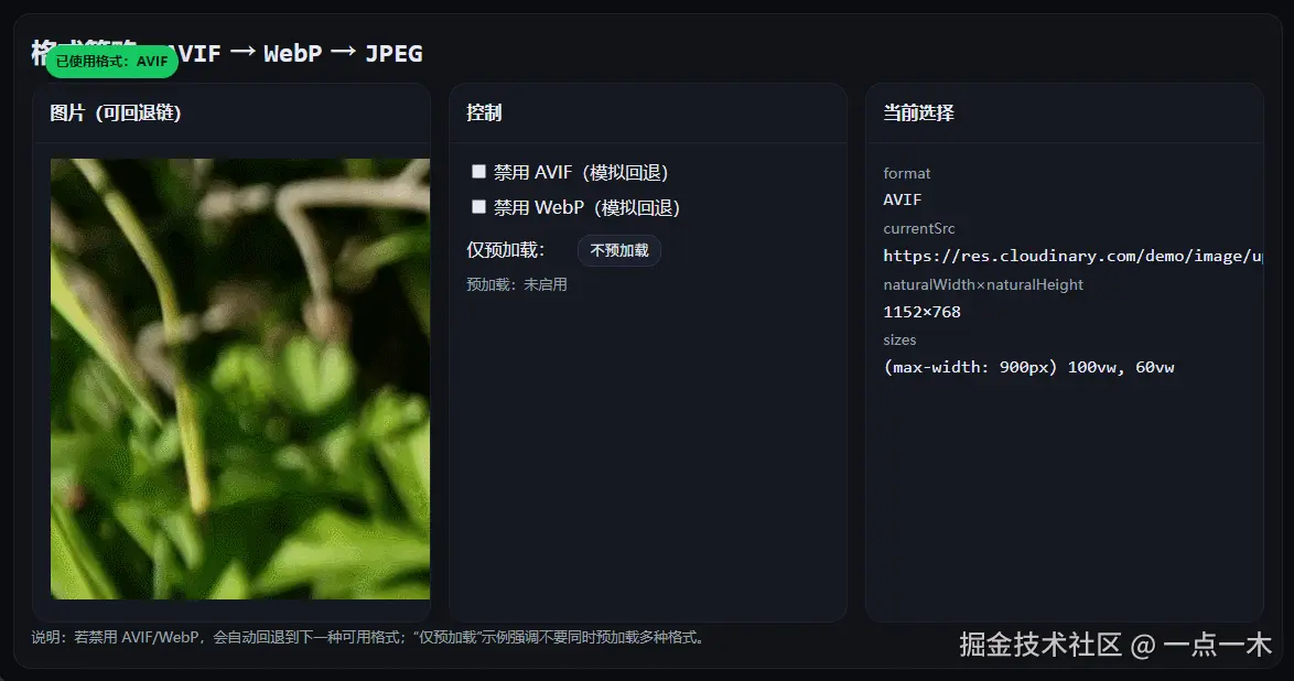 AVIF-WebP-JPEG