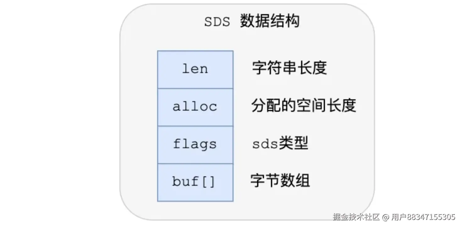 image-20240725232549832