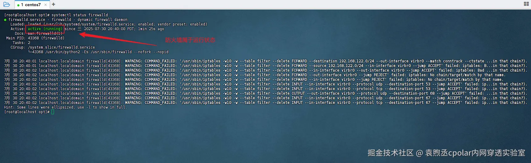 image-20250731114230860