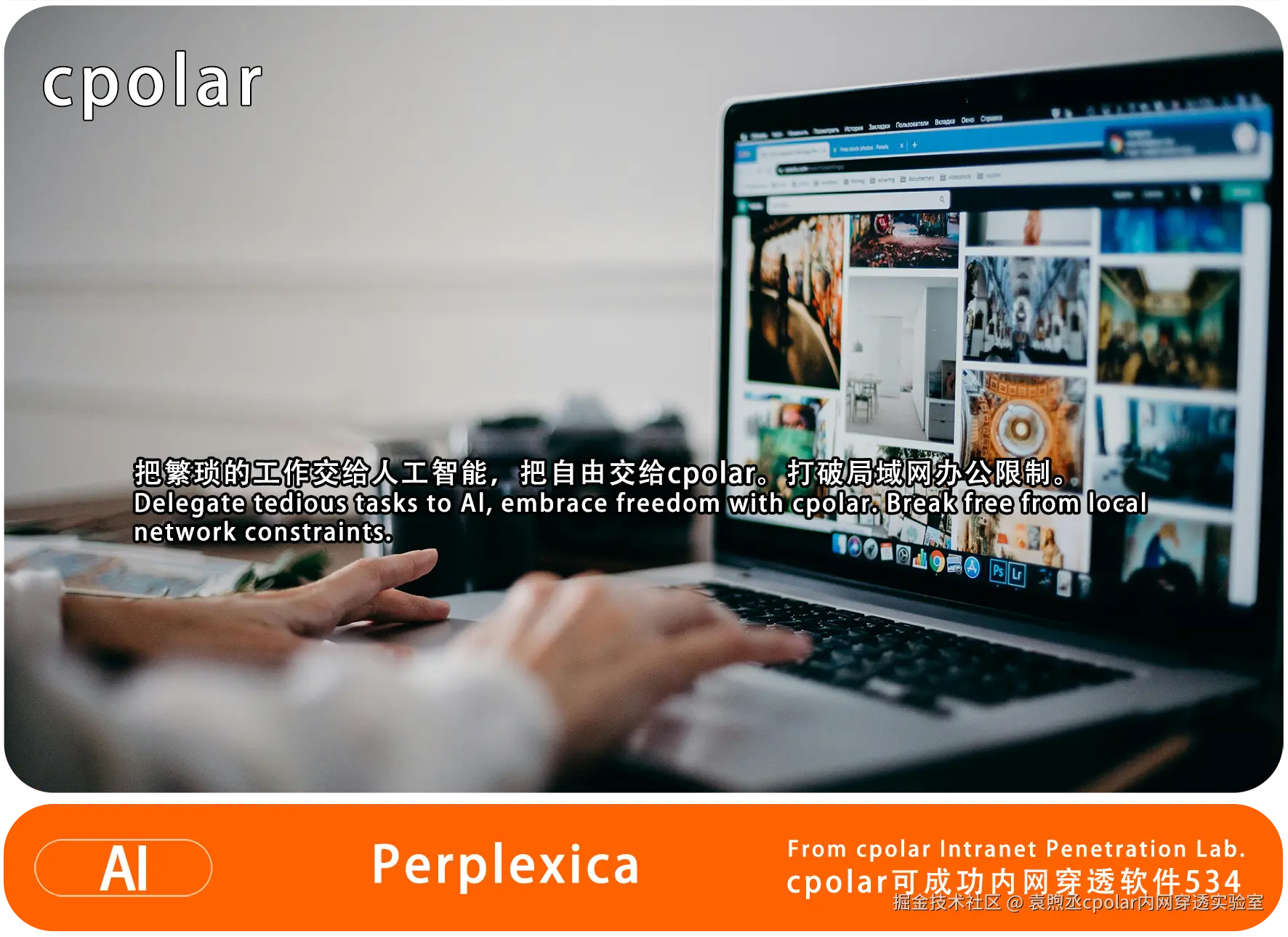 NO.534 Perplexica-02.png