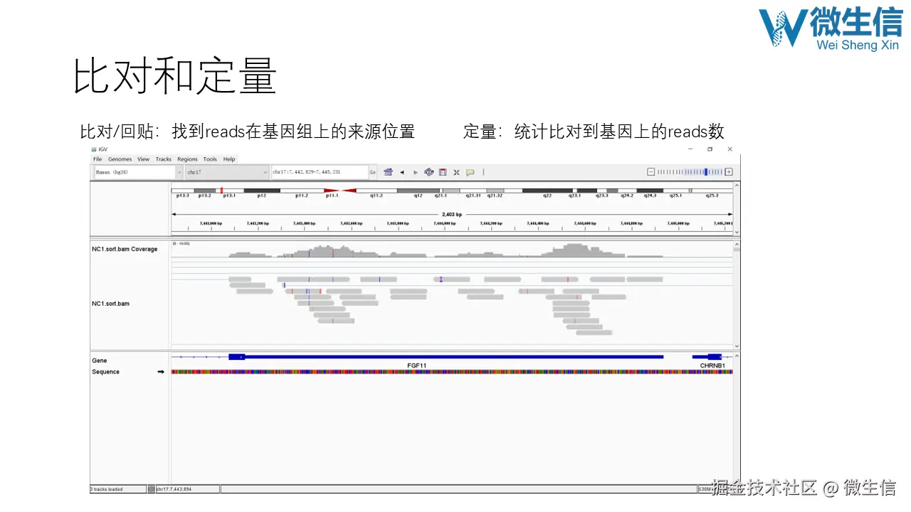 幻灯片2.PNG