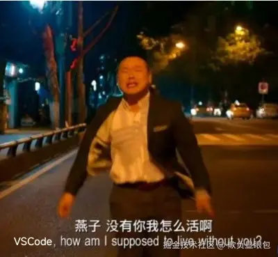 need_vscode.jpg