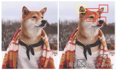 Attention? Attention! Figure 1 A Shiba Inu in a men’s outfit