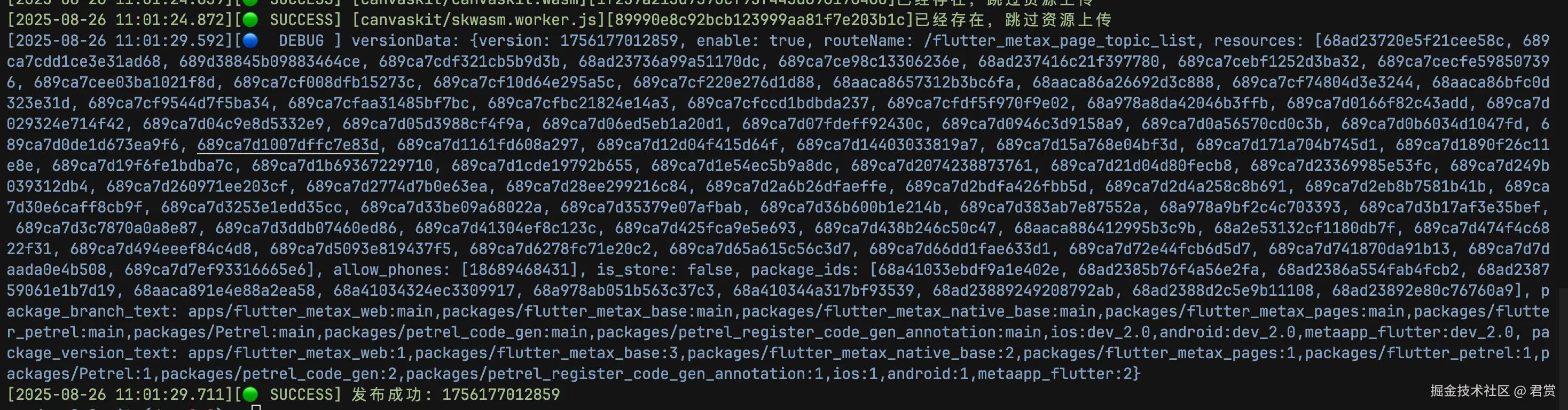 image-20250826110259851.png