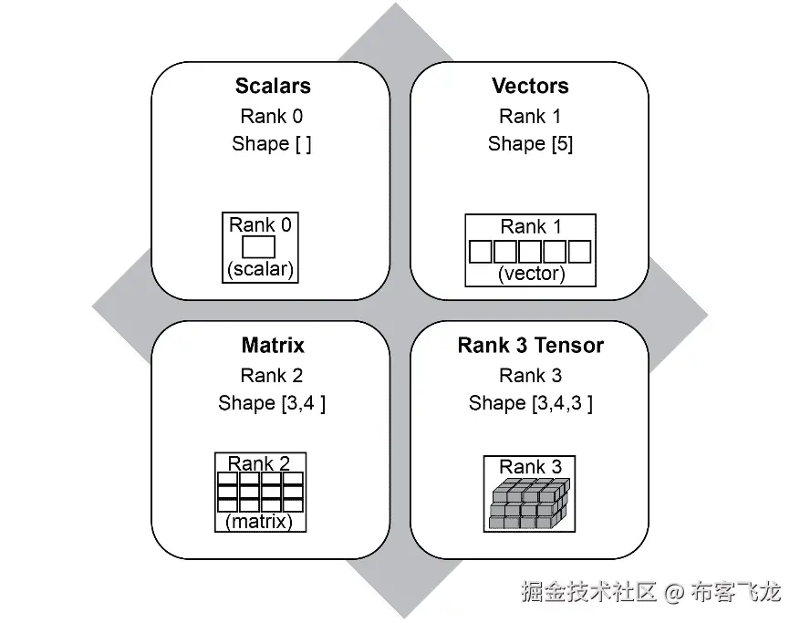图 1.11：张量的秩和形状示例