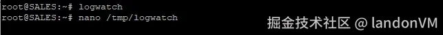运行logwatch，使用编辑器打开文件