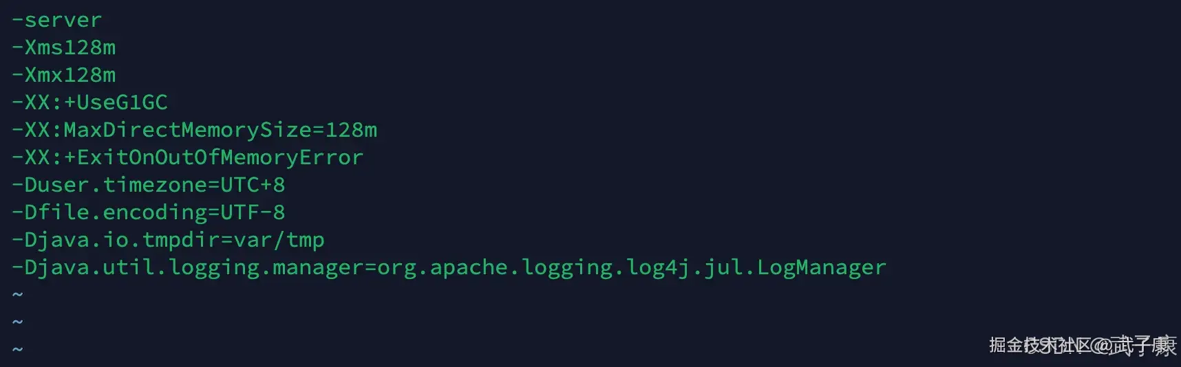 Druid 启动参数修改