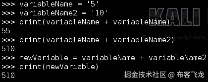 数字变量