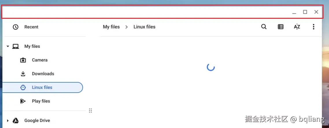 captionBar inset.png