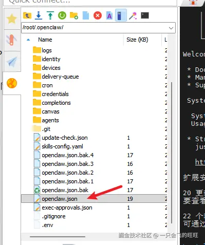 image-20260308135058392