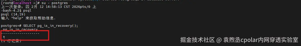 image-20260212160819204