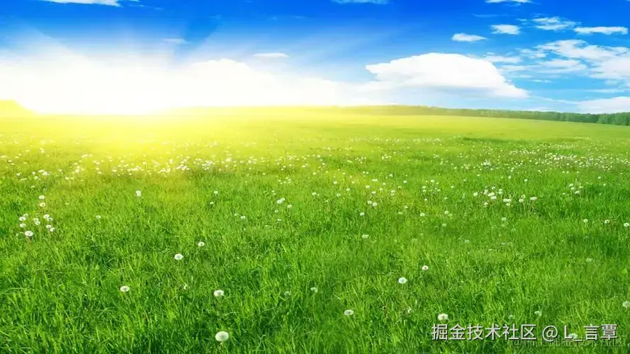 7.webp