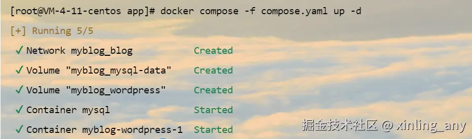 image-20240823152233550