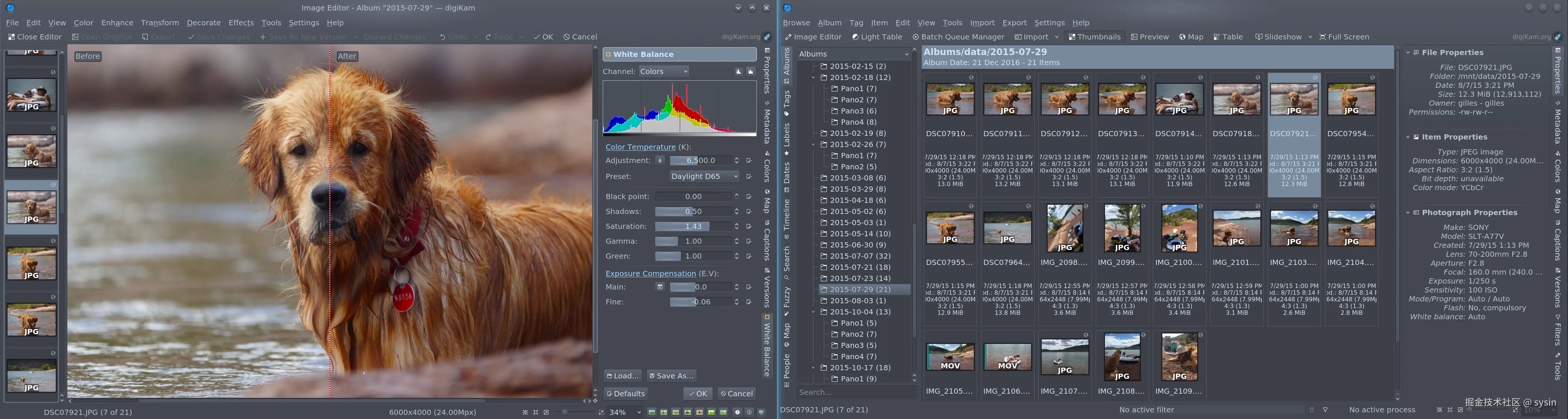 Albums View and Image Editor