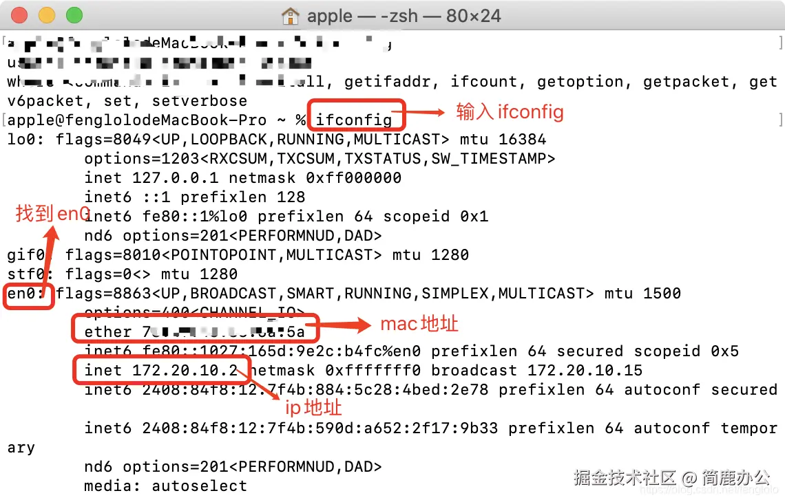 终端 IP 查询