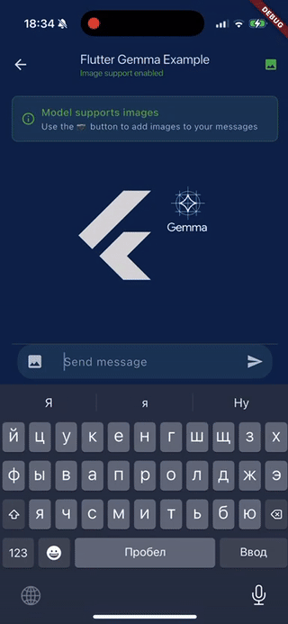 Gemma 3n 和函数调用