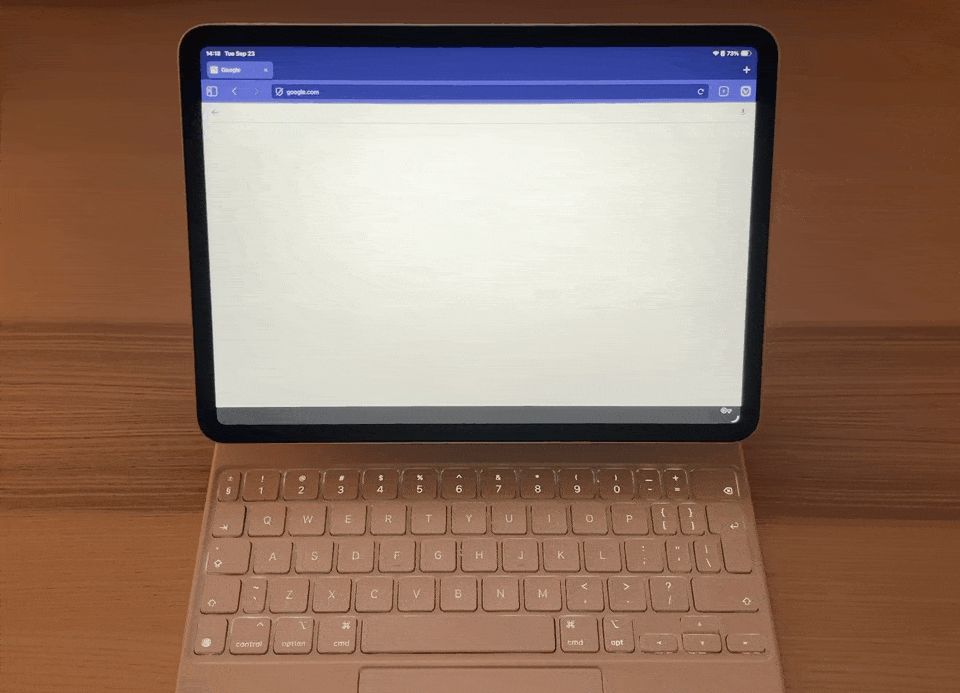 Vivaldi 输入问题