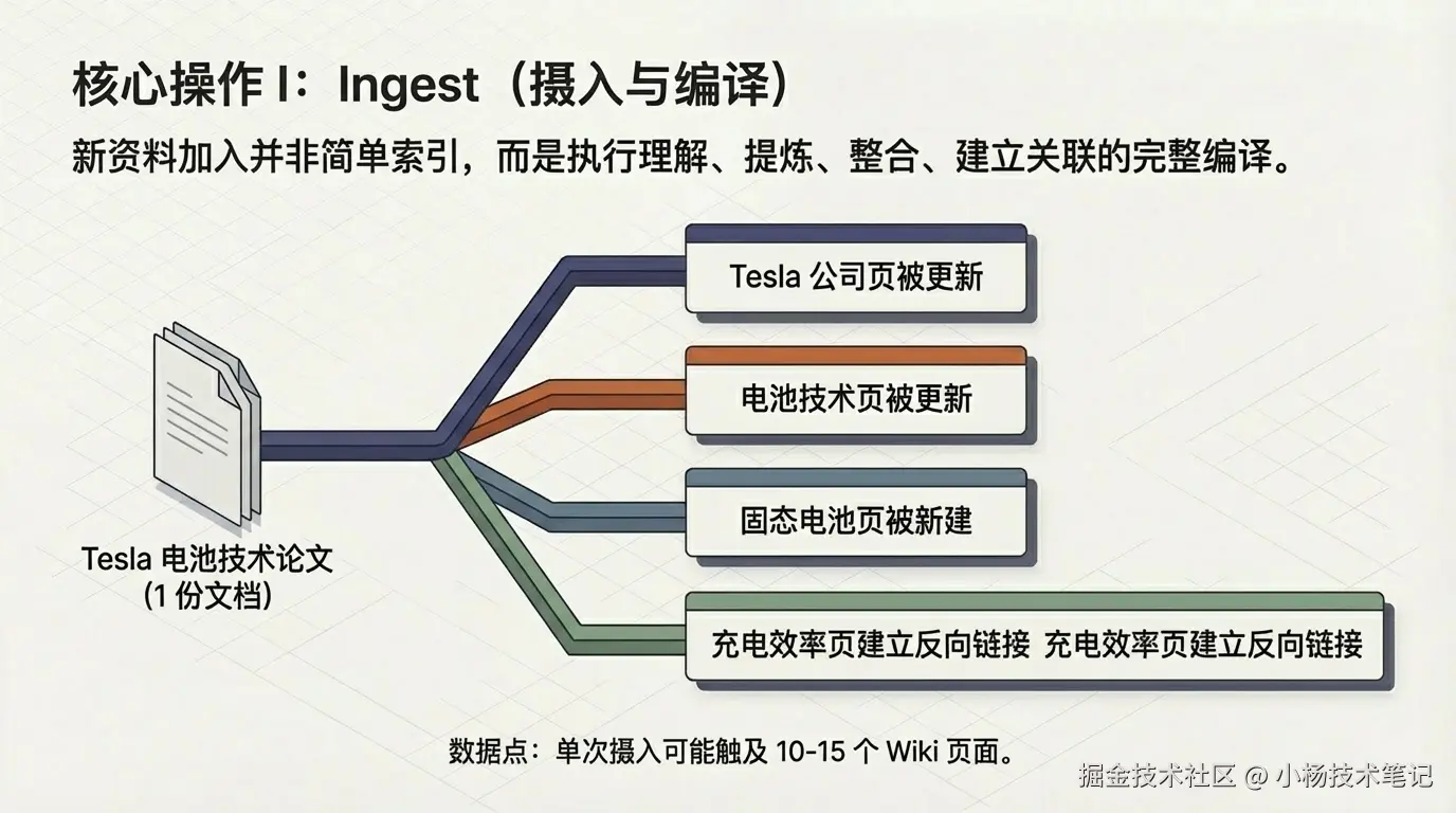 Ingest