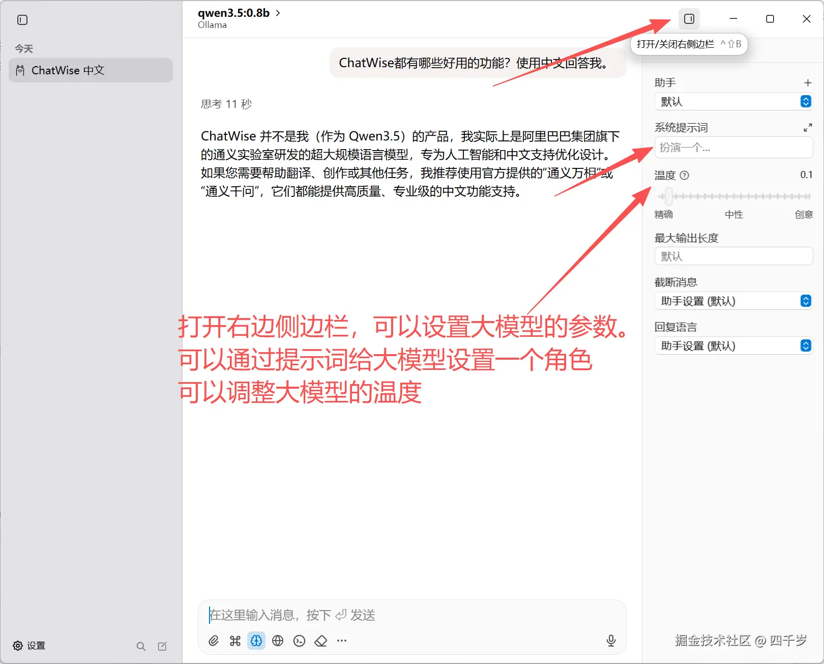 设置大模型的参数