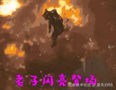 D993B2DD.gif