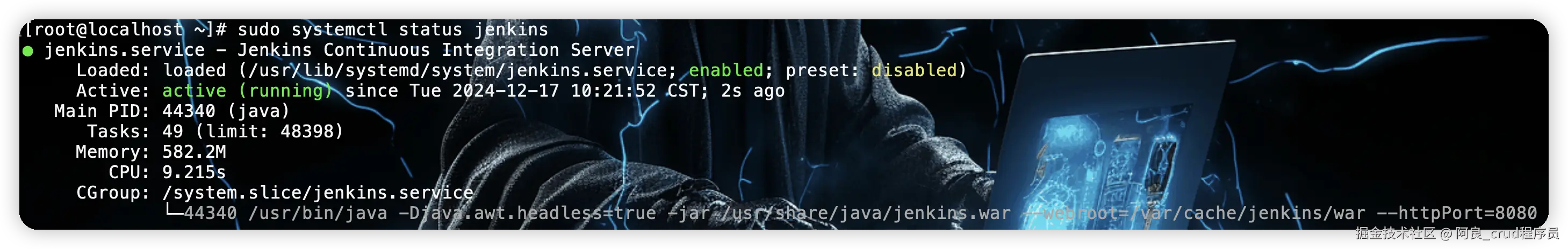image-20241217102222253.png