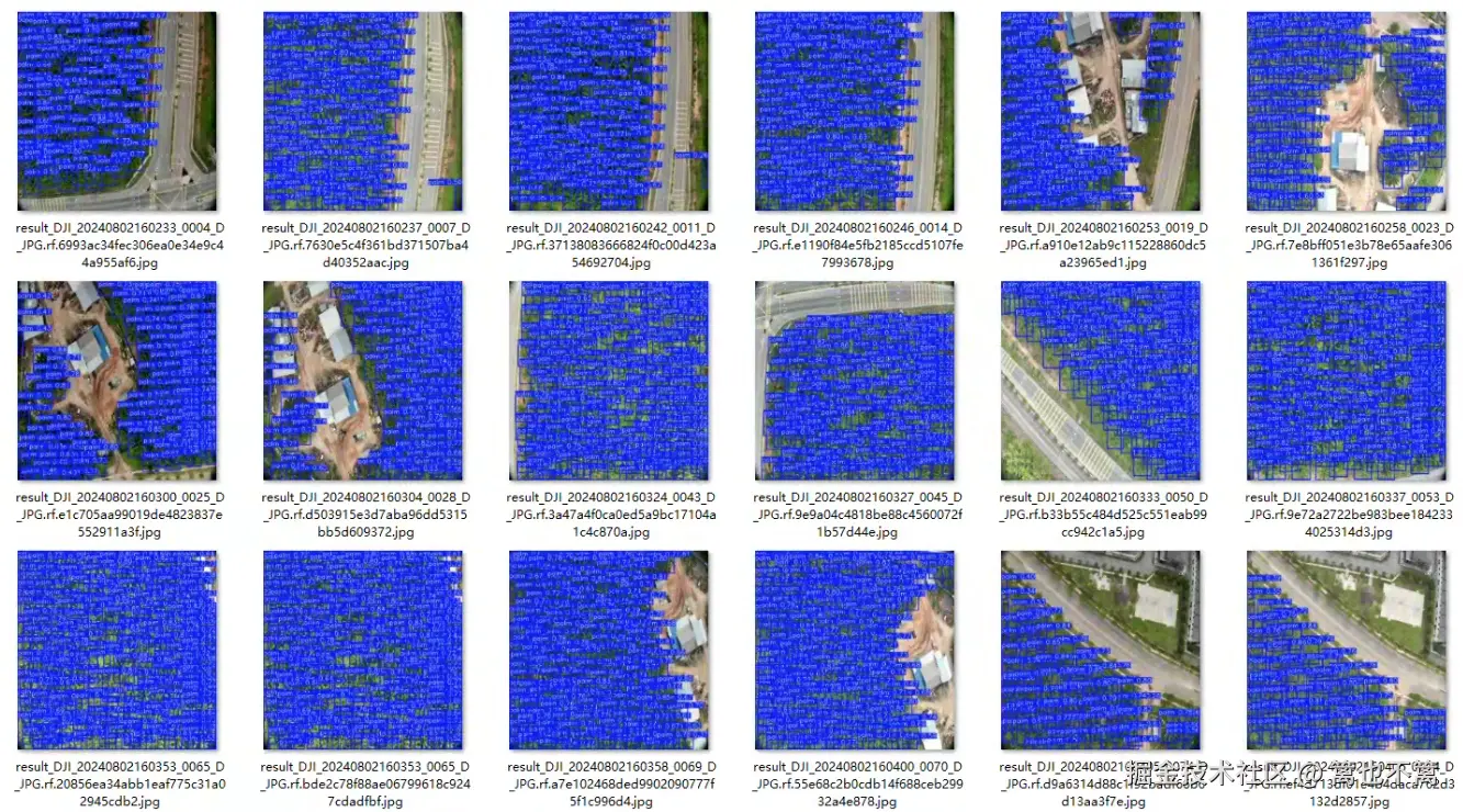 image-20250801213956788