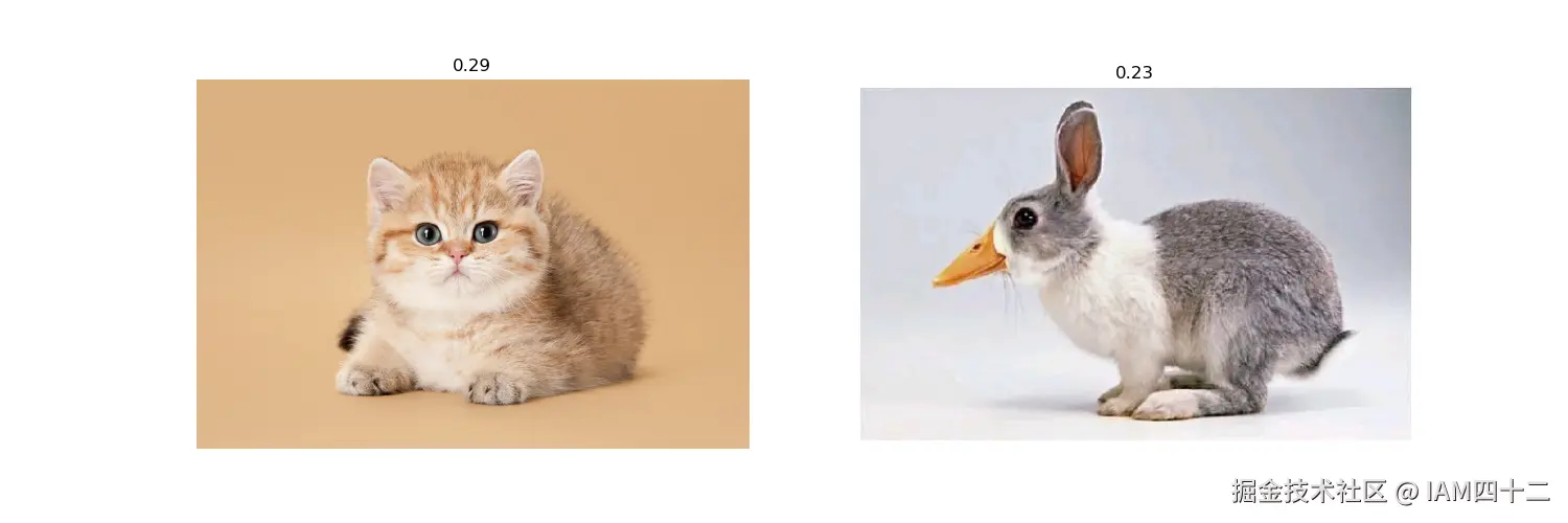 cat_result.png
