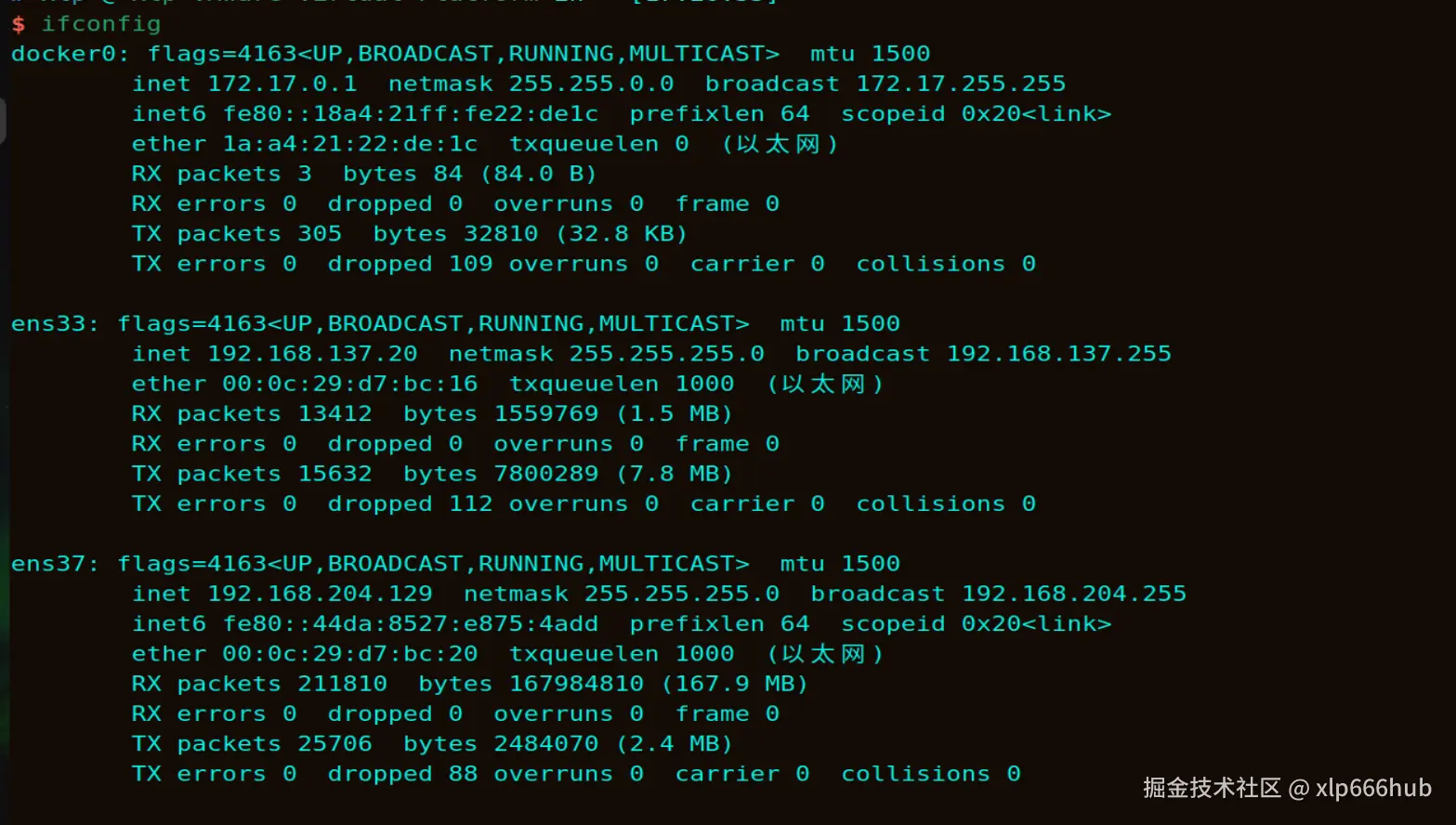 4. 虚拟机网口信息.png