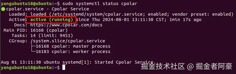 image-20240801132301959