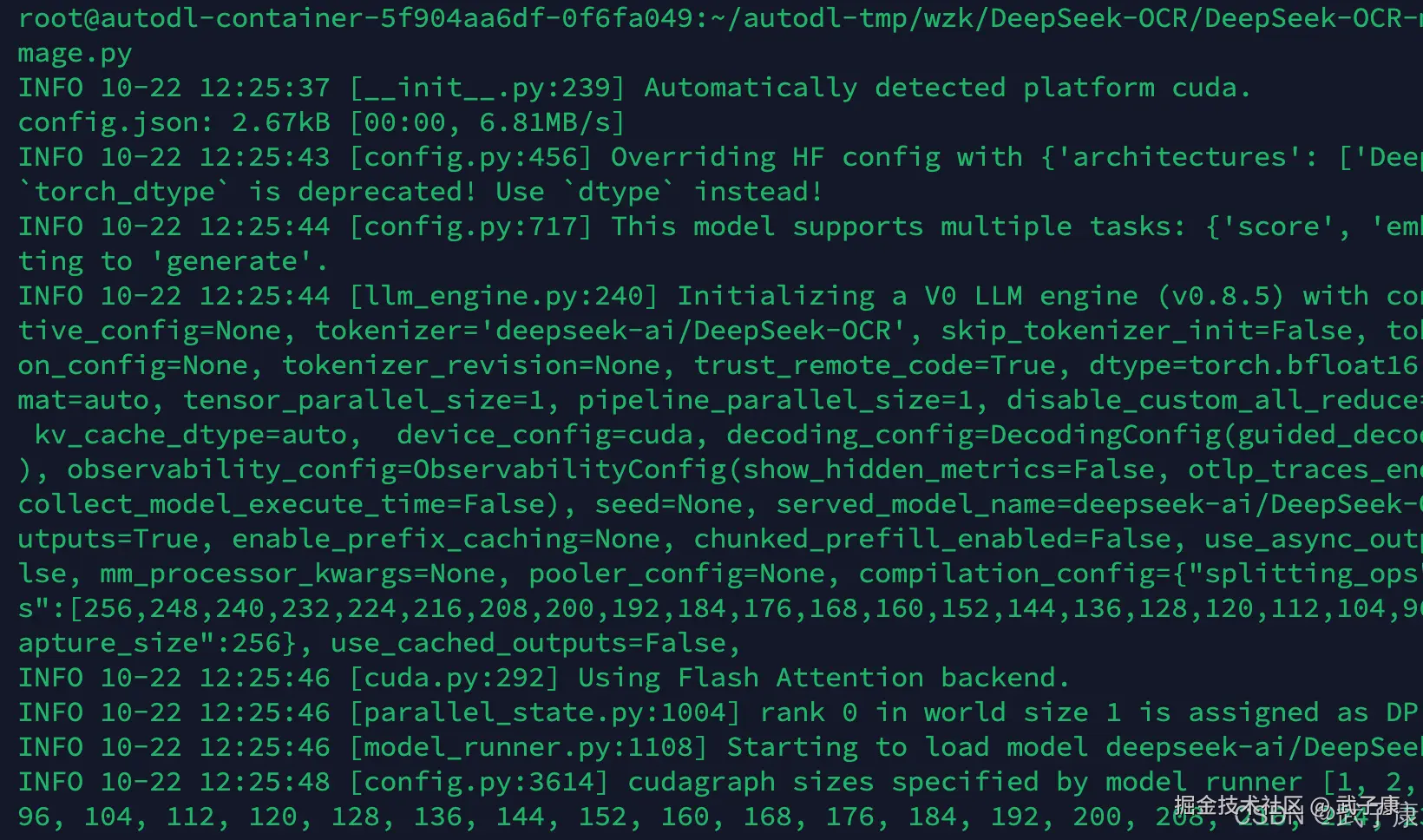 DeepSeek-OCR 运行 image