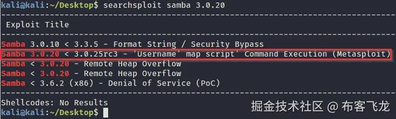 图 3.17 – Metasploitable2 漏洞