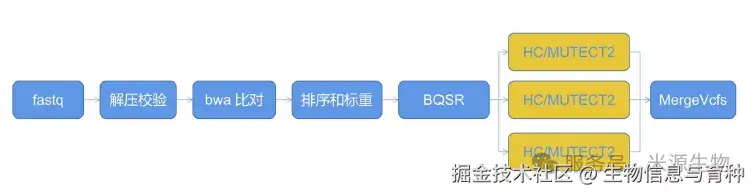 变异检测流程