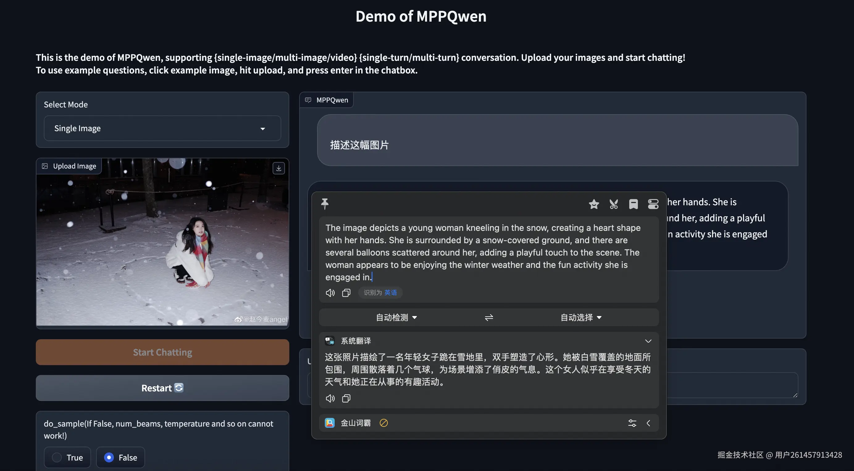 图像单轮问答示例